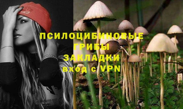 mdpv Арсеньев