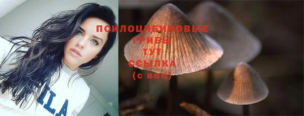 СК Балабаново