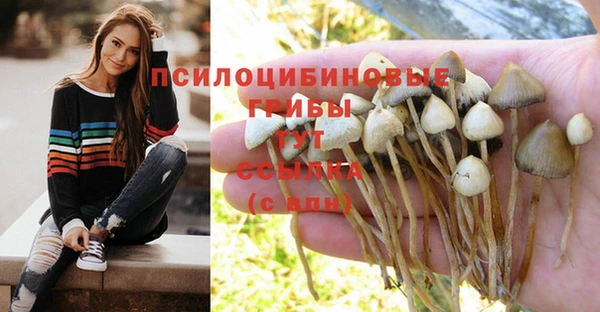 гидра Баксан