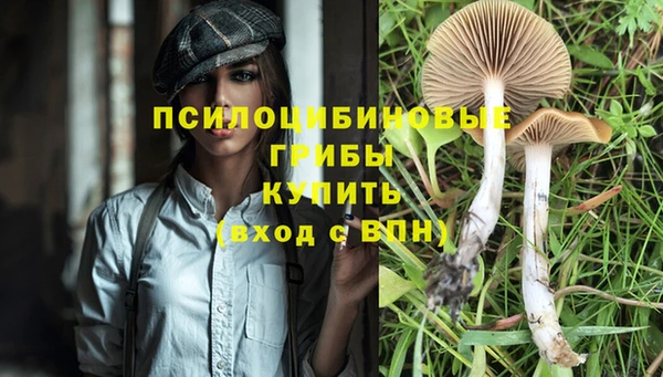 гидра Баксан