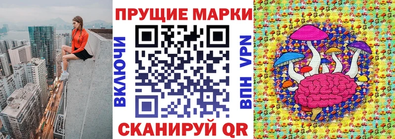 где купить наркоту  Ельня  МЕГА онион  Марки N-bome 1,5мг 